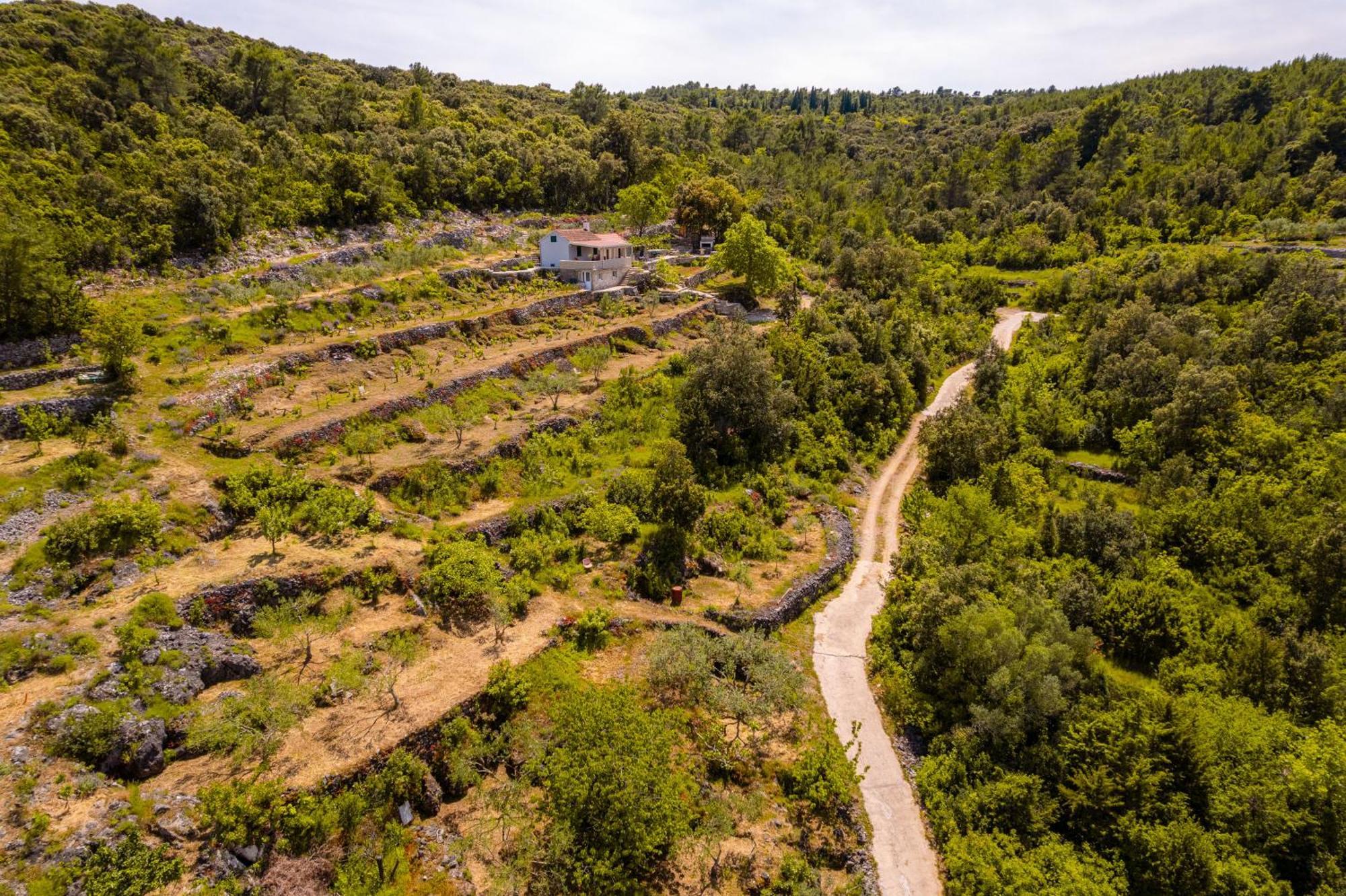 Meadow Hill Villa Zrnovo ภายนอก รูปภาพ